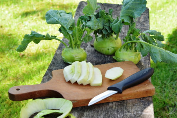 Kohlrabi-Eintopf im TVW
