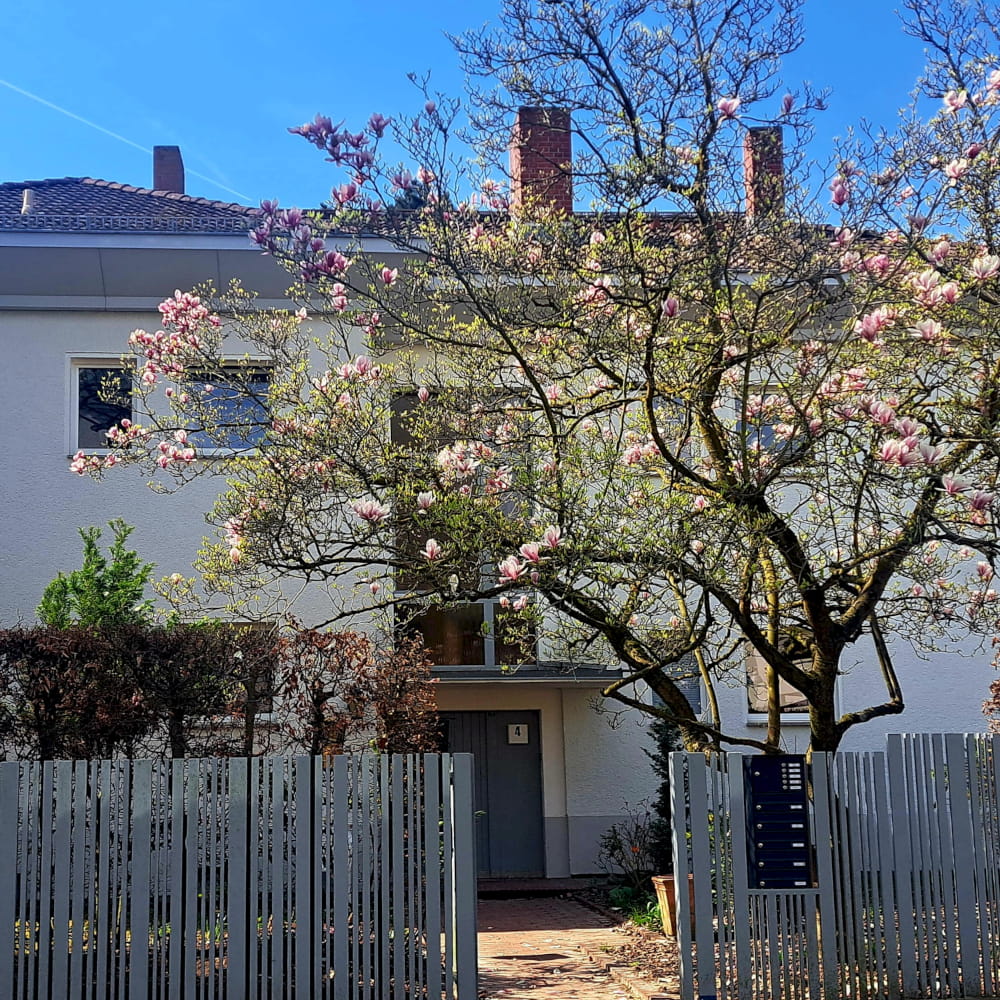 BEW Wichernstraße im Verbund Steglitz-Zehlendorf